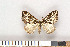  ( - NHMO-08204)  @13 [ ] Unspecified (default): All Rights Reserved  Unspecified Unspecified