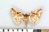  ( - NHMO-08219)  @14 [ ] Unspecified (default): All Rights Reserved  Unspecified Unspecified
