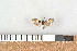  ( - NHMO-08243)  @13 [ ] Unspecified (default): All Rights Reserved  Unspecified Unspecified