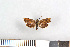 ( - NHMO-08262)  @13 [ ] Unspecified (default): All Rights Reserved  Unspecified Unspecified
