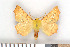  ( - NHMO-08280)  @13 [ ] Unspecified (default): All Rights Reserved  Unspecified Unspecified