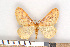 ( - NHMO Lep08302)  @14 [ ] Unspecified (default): All Rights Reserved  Unspecified Unspecified