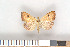  ( - NHMO-2011.120)  @13 [ ] Unspecified (default): All Rights Reserved  Unspecified Unspecified