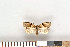  ( - NHMO-2011.121)  @13 [ ] Unspecified (default): All Rights Reserved  Unspecified Unspecified