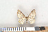  ( - NHMO-2011.122)  @12 [ ] Unspecified (default): All Rights Reserved  Unspecified Unspecified