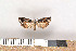  ( - NHMO-2011.124)  @13 [ ] Unspecified (default): All Rights Reserved  Unspecified Unspecified