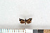  ( - NHMO-2011.140)  @12 [ ] Unspecified (default): All Rights Reserved  Unspecified Unspecified