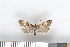  ( - NHMO-2011.152)  @13 [ ] Unspecified (default): All Rights Reserved  Unspecified Unspecified