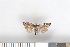  ( - NHMO-2011.190)  @12 [ ] Unspecified (default): All Rights Reserved  Unspecified Unspecified