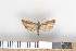  ( - NHMO-2011.225)  @12 [ ] Unspecified (default): All Rights Reserved  Unspecified Unspecified