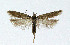  ( - NHMO-DAR-4082)  @13 [ ] No Rights Reserved (2014) Arrild Johnsen Natural history museum, University of Oslo