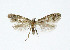 ( - NHMO-DAR-4101)  @14 [ ] No Rights Reserved (2014) Arrild Johnsen Natural history museum, University of Oslo