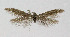  ( - NHMO-DAR-4143)  @12 [ ] No Rights Reserved (2014) Arrild Johnsen Natural history museum, University of Oslo