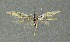  ( - NHMO-DAR-4144)  @12 [ ] Copyright (2015) Unspecified University of Oslo, Natural History Museum