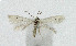  ( - NHMO-DAR-5114)  @12 [ ] Copyright (2015) Unspecified University of Oslo, Natural History Museum