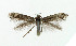  ( - NHMO-DAR-5142)  @14 [ ] Copyright (2015) Unspecified University of Oslo, Natural History Museum