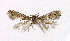  ( - NHMO-DAR-5153)  @11 [ ] Copyright (2015) Unspecified University of Oslo, Natural History Museum