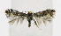  ( - NHMO-DAR-6322)  @13 [ ] Copyright (2015) Unspecified University of Oslo, Natural History Museum
