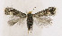  ( - NHMO-DAR-6323)  @14 [ ] Copyright (2015) Unspecified University of Oslo, Natural History Museum