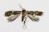  ( - NHMO-DAR-6334)  @13 [ ] Copyright (2015) Unspecified University of Oslo, Natural History Museum