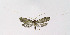  ( - NHMO-DAR-6361)  @13 [ ] Copyright (2015) Unspecified University of Oslo, Natural History Museum