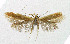  ( - NHMO-DAR-5202)  @12 [ ] Copyright (2015) Unspecified University of Oslo, Natural History Museum