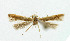  ( - NHMO-DAR-5203)  @12 [ ] Copyright (2015) Unspecified University of Oslo, Natural History Museum