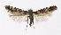  ( - NHMO-DAR-8601)  @13 [ ] CreativeCommons - Attribution Non-Commercial Share-Alike (2016) Unspecified University of Oslo, Natural History Museum