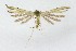  ( - NHMO-DAR-8637)  @12 [ ] CreativeCommons - Attribution Non-Commercial Share-Alike (2016) Unspecified University of Oslo, Natural History Museum
