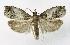  ( - NHMO-DAR-8689)  @13 [ ] CreativeCommons - Attribution Non-Commercial Share-Alike (2016) Unspecified University of Oslo, Natural History Museum