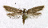  ( - NHMO-DAR-5225)  @13 [ ] Copyright (2015) Unspecified University of Oslo, Natural History Museum