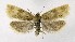  ( - NHMO-DAR-8792)  @13 [ ] CreativeCommons - Attribution Non-Commercial Share-Alike (2016) Unspecified University of Oslo, Natural History Museum