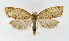  ( - NHMO-DAR-8828)  @13 [ ] CreativeCommons - Attribution Non-Commercial Share-Alike (2016) Unspecified University of Oslo, Natural History Museum