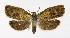  ( - NHMO-DAR-8842)  @14 [ ] CreativeCommons - Attribution Non-Commercial Share-Alike (2016) Unspecified University of Oslo, Natural History Museum