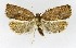  ( - NHMO-DAR-8854)  @13 [ ] CreativeCommons - Attribution Non-Commercial Share-Alike (2016) Unspecified University of Oslo, Natural History Museum