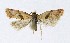  ( - NHMO-DAR-8873)  @12 [ ] CreativeCommons - Attribution Non-Commercial Share-Alike (2016) Unspecified University of Oslo, Natural History Museum