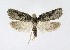  ( - NHMO-DAR-8906)  @13 [ ] CreativeCommons - Attribution Non-Commercial Share-Alike (2016) Unspecified University of Oslo, Natural History Museum