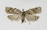  ( - NHMO-DAR-8907)  @13 [ ] CreativeCommons - Attribution Non-Commercial Share-Alike (2016) Unspecified University of Oslo, Natural History Museum