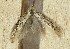  ( - NHMO-DAR-8938)  @13 [ ] CreativeCommons - Attribution Non-Commercial Share-Alike (2016) Unspecified University of Oslo, Natural History Museum