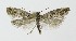  ( - NHMO-DAR-8964)  @13 [ ] CreativeCommons - Attribution Non-Commercial Share-Alike (2016) Unspecified University of Oslo, Natural History Museum