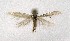  ( - NHMO-DAR-8975)  @13 [ ] CreativeCommons - Attribution Non-Commercial Share-Alike (2016) Unspecified University of Oslo, Natural History Museum