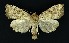  ( - NHMO-DAR-9210)  @13 [ ] CreativeCommons - Attribution Non-Commercial Share-Alike (2016) Unspecified University of Oslo, Natural History Museum
