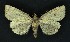  ( - NHMO-DAR-9211)  @13 [ ] CreativeCommons - Attribution Non-Commercial Share-Alike (2016) Unspecified University of Oslo, Natural History Museum
