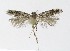  ( - NHMO-DAR-9261)  @12 [ ] CreativeCommons - Attribution Non-Commercial Share-Alike (2016) Unspecified University of Oslo, Natural History Museum