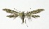 ( - NHMO-DAR-9263)  @13 [ ] CreativeCommons - Attribution Non-Commercial Share-Alike (2016) Unspecified University of Oslo, Natural History Museum
