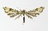  ( - NHMO-DAR-9264)  @13 [ ] CreativeCommons - Attribution Non-Commercial Share-Alike (2016) Unspecified University of Oslo, Natural History Museum