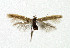  ( - NHMO-DAR-5309)  @13 [ ] Copyright (2015) Unspecified University of Oslo, Natural History Museum