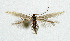  ( - NHMO-DAR-5322)  @13 [ ] Copyright (2015) Unspecified University of Oslo, Natural History Museum