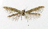  ( - NHMO-DAR-5325)  @13 [ ] Copyright (2015) Unspecified University of Oslo, Natural History Museum
