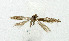 ( - NHMO-DAR-5340)  @13 [ ] Copyright (2015) Unspecified University of Oslo, Natural History Museum